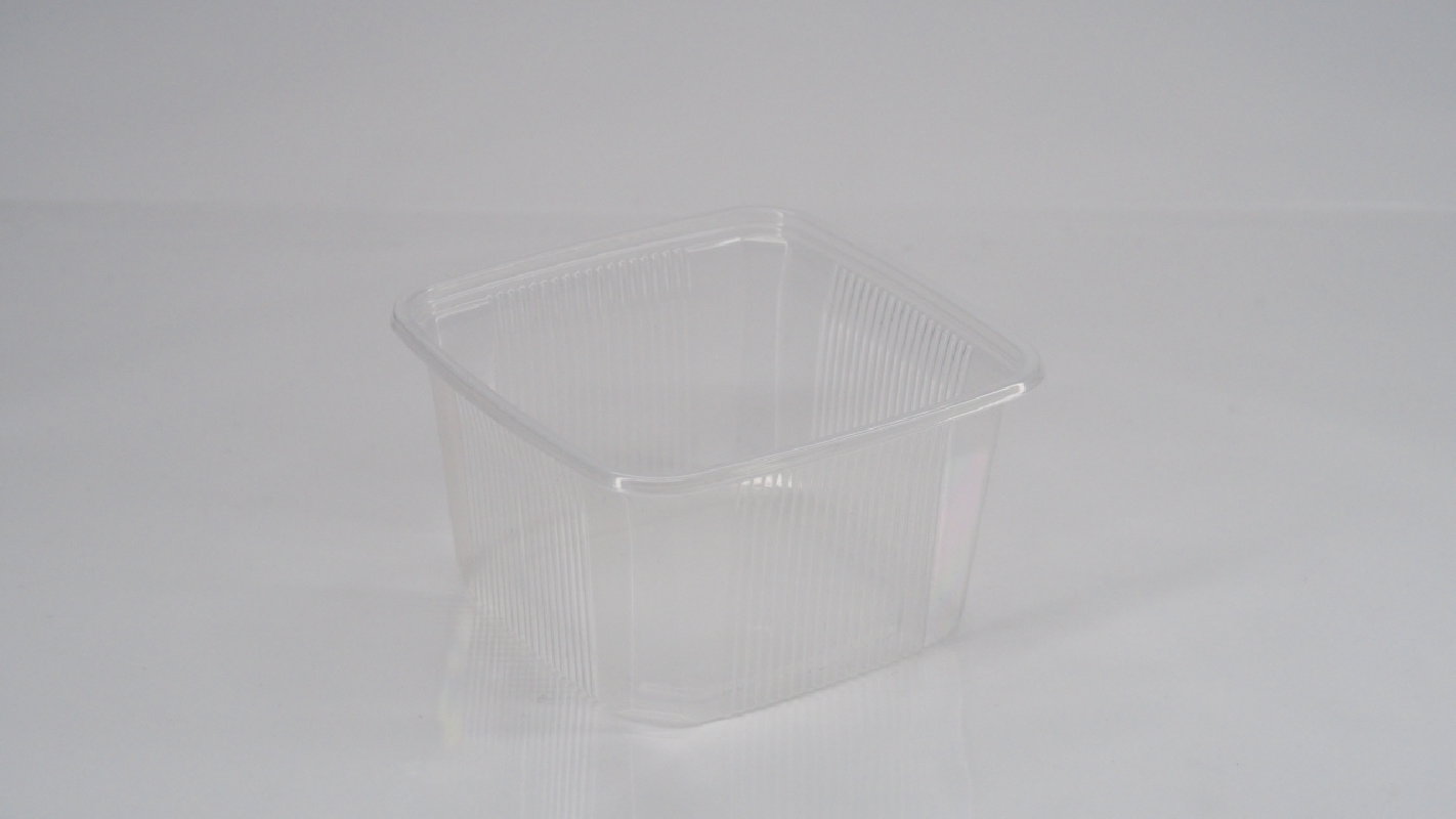 114Q RAVIER RECT. EN PLAST. - Photo 02