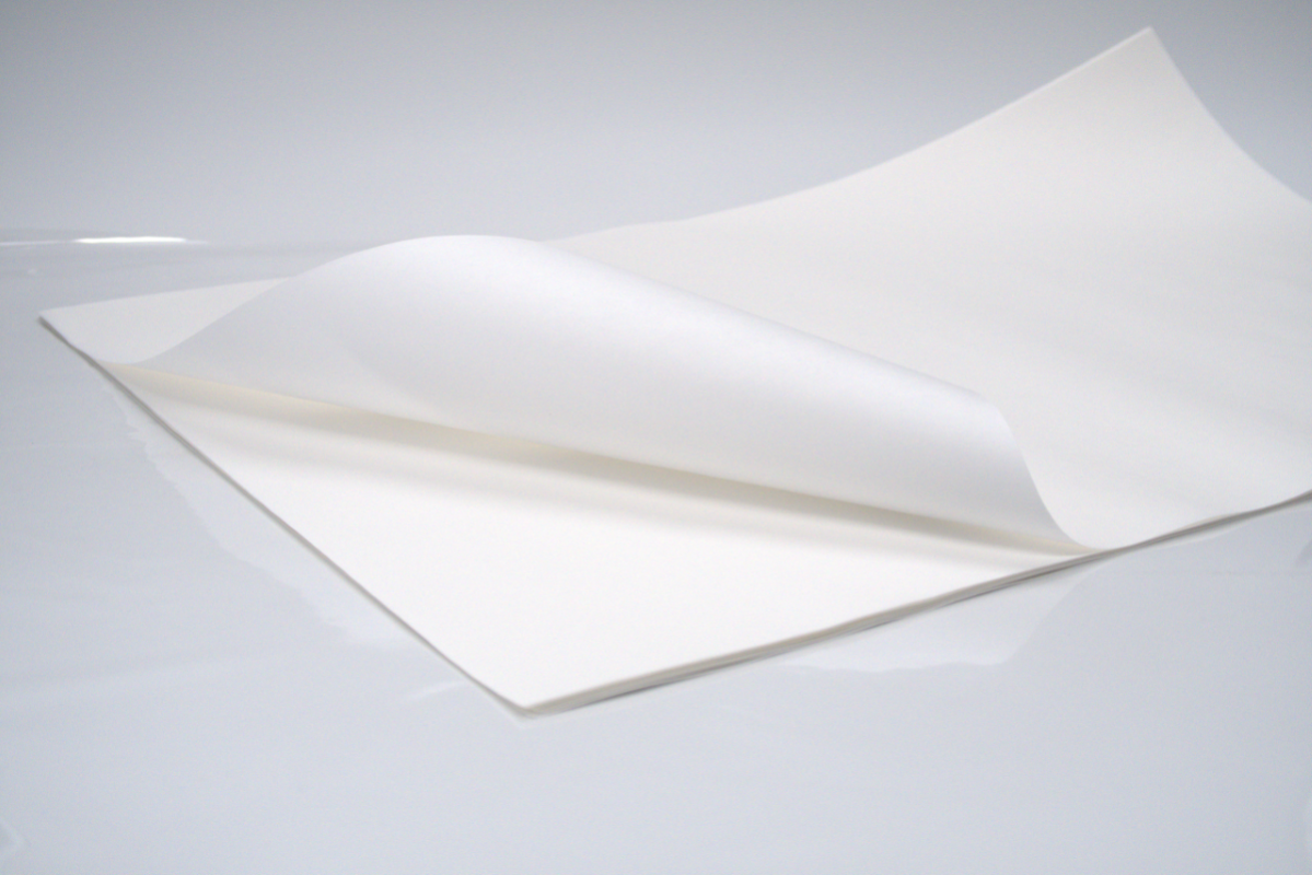 FEUILLE DE PAPIER WETSTRENGH - 60 G