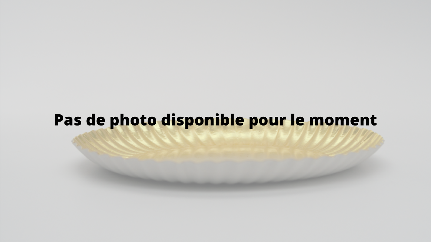 ASSIÈTTE RONDE EN CARTON OR MAT