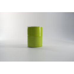 BOLDUCS STARBRIGHT (VERNI)